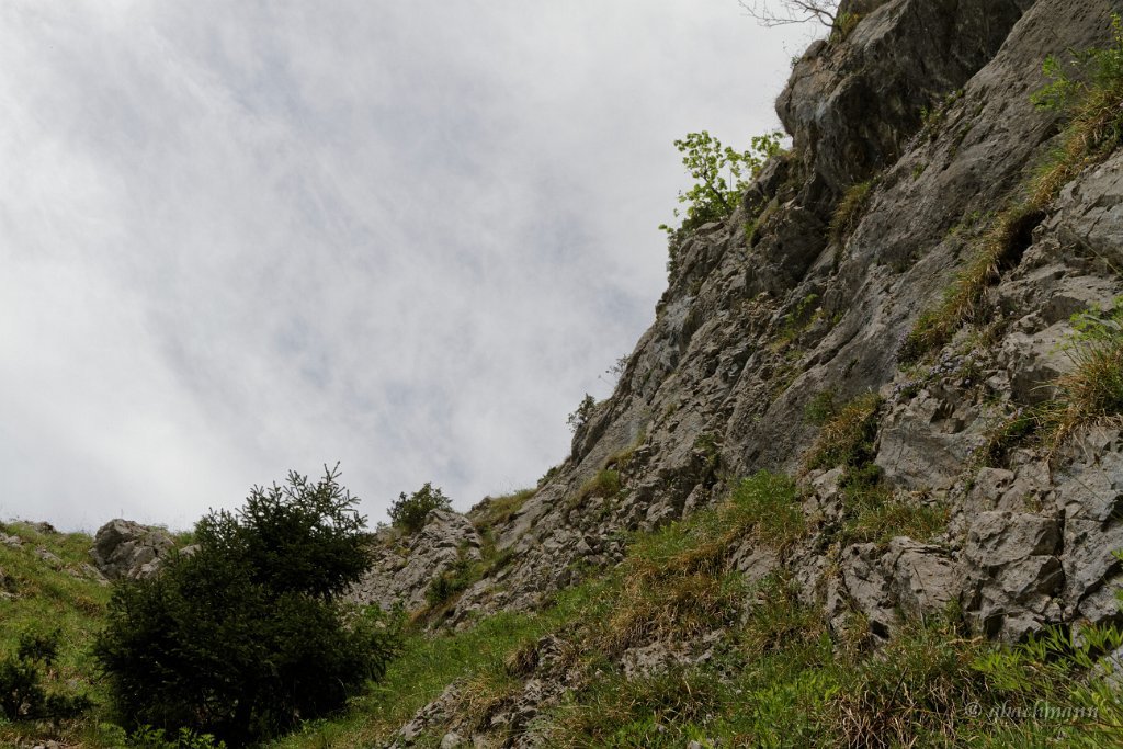 20150514_0027